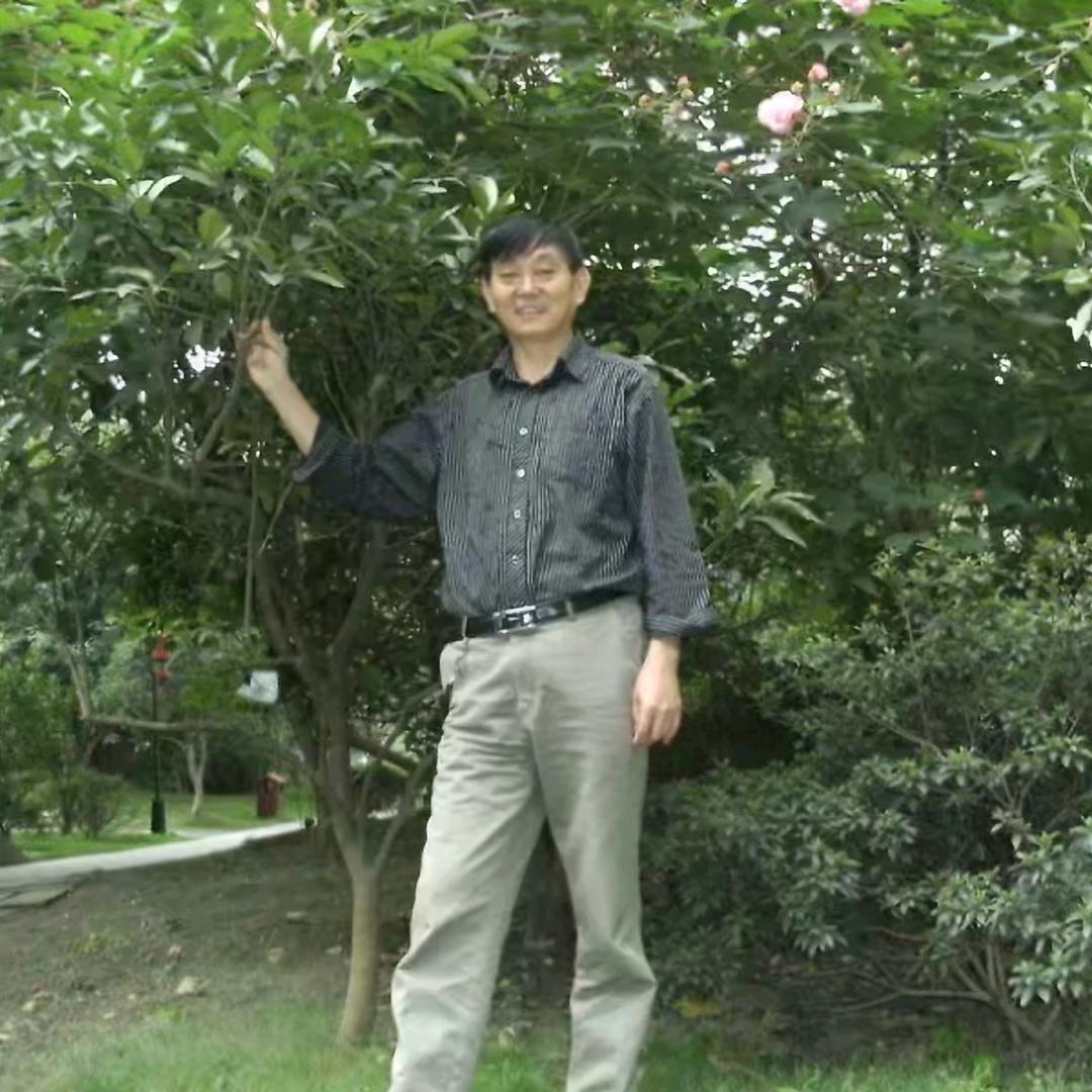 悬壸人生 z