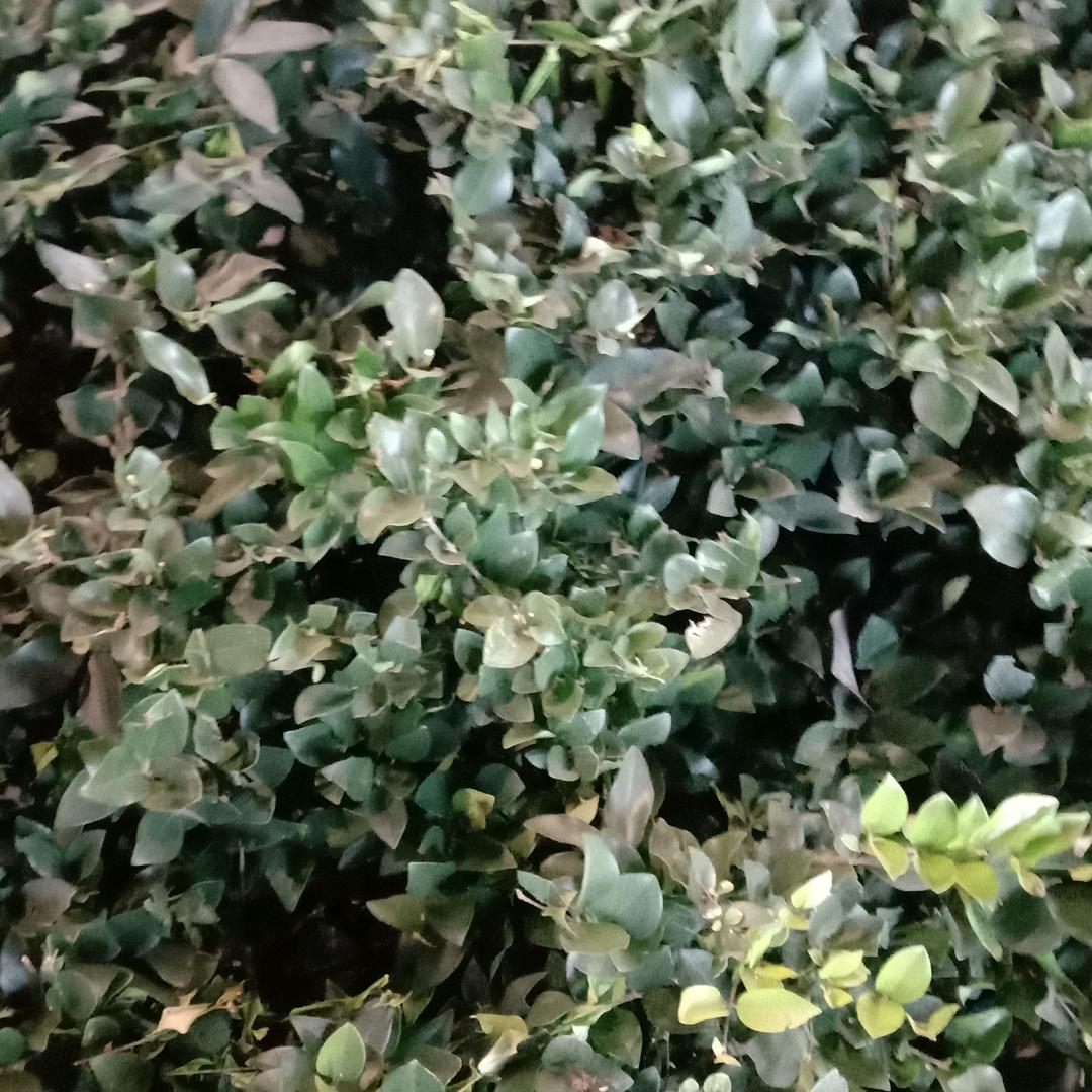 用户134128221516