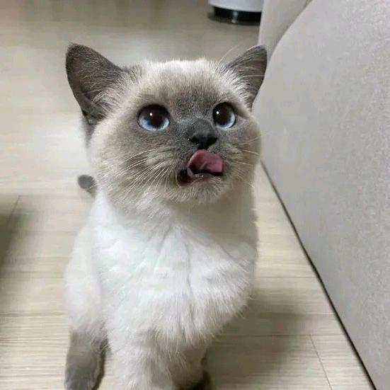 代ヾ