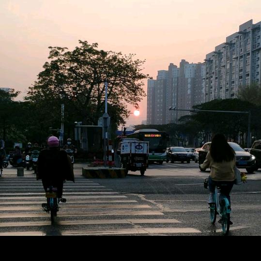 🌈爱抖音的小布丁