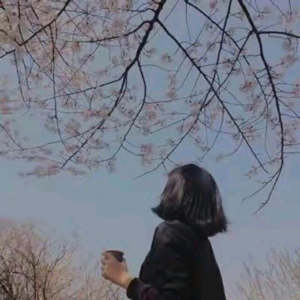 Miss  李