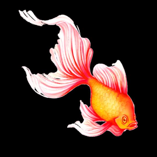 7秒记忆（不许连赞）