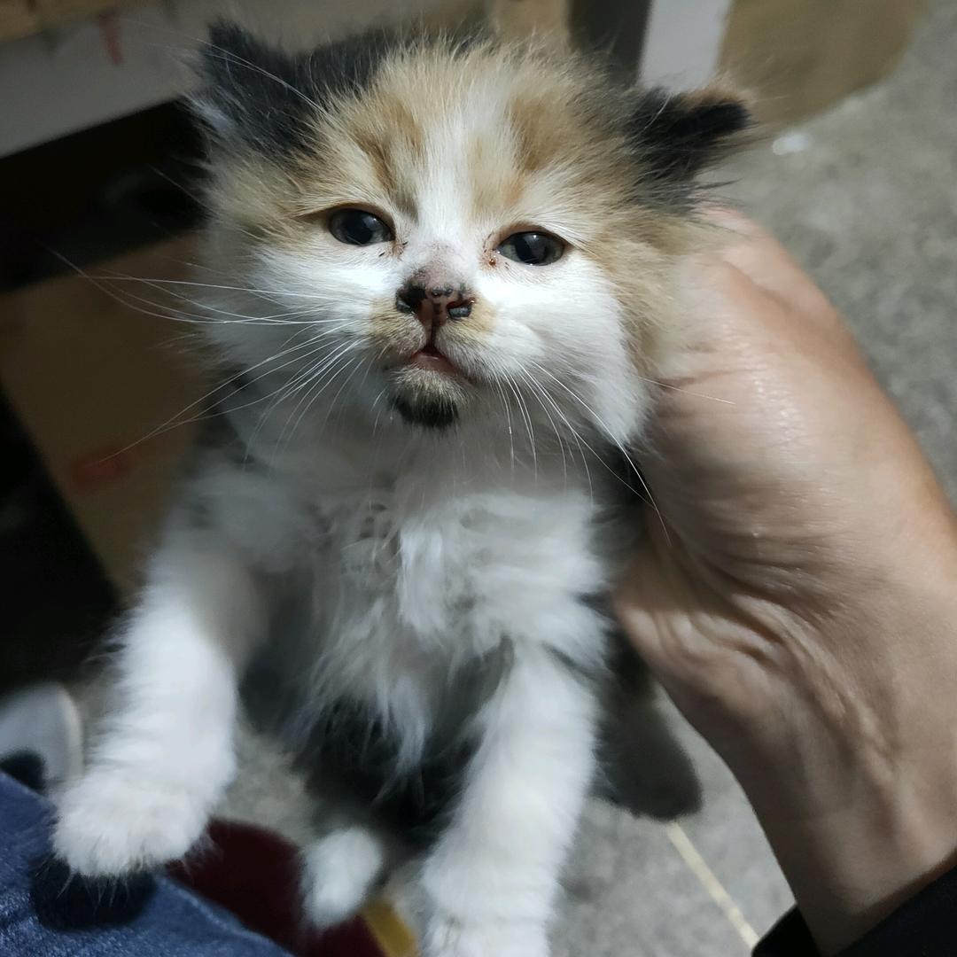 缘灭劫生