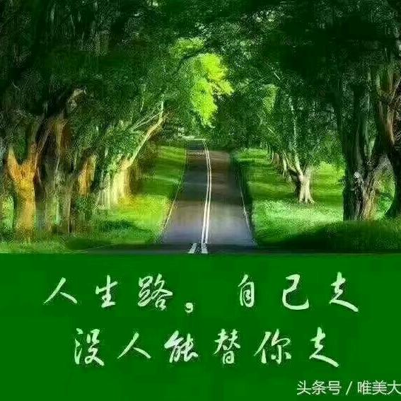 ( ｡• 👅 •｡｀)酒醉恋红尘(โ◑