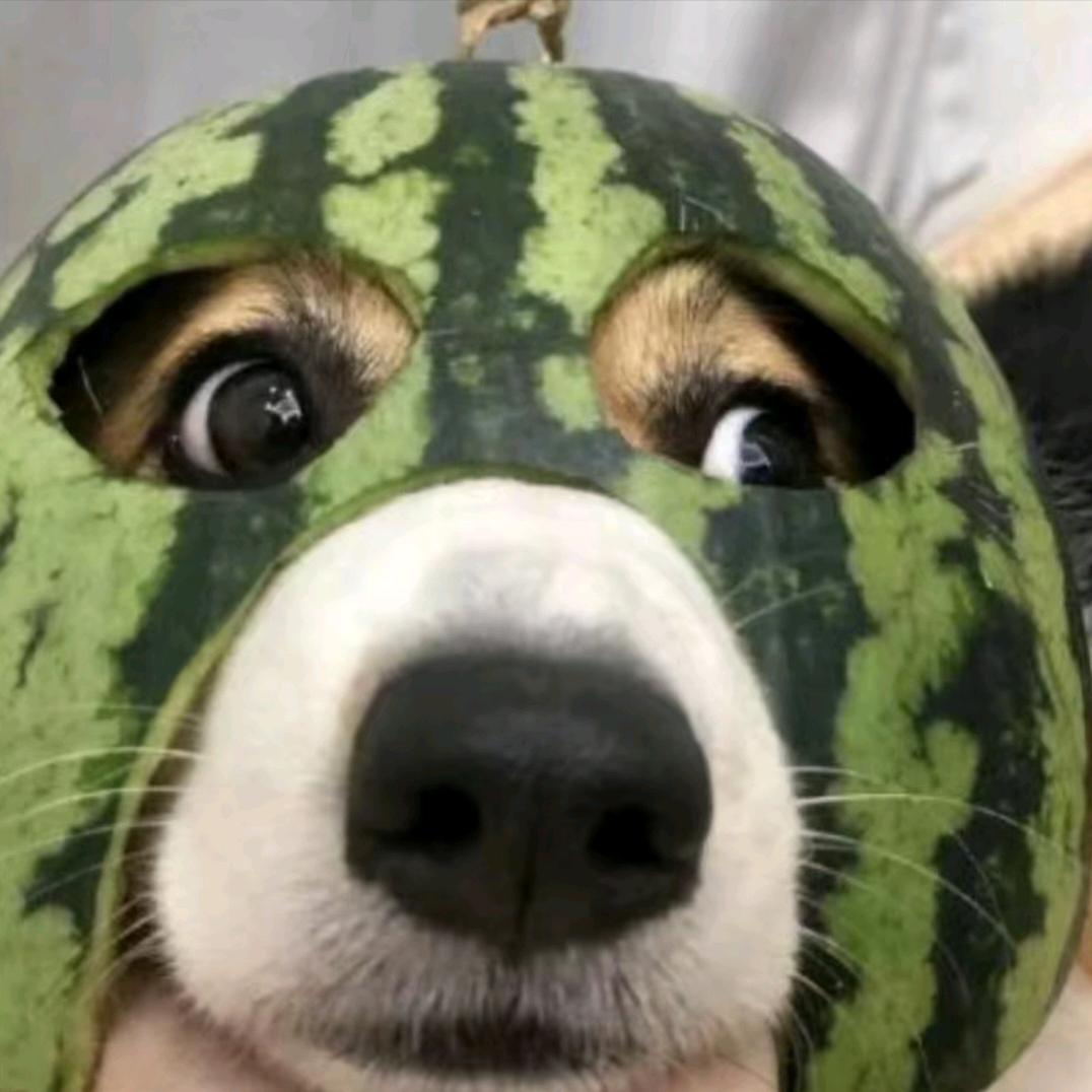 霜降