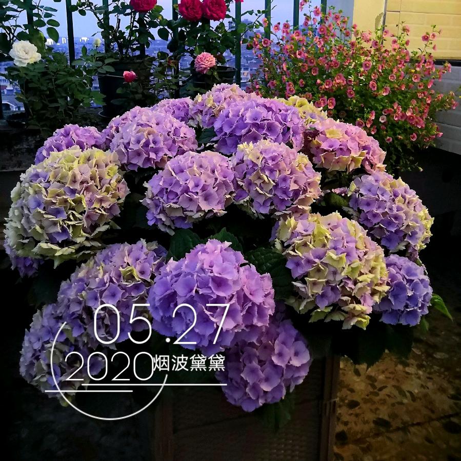 烟波黛黛