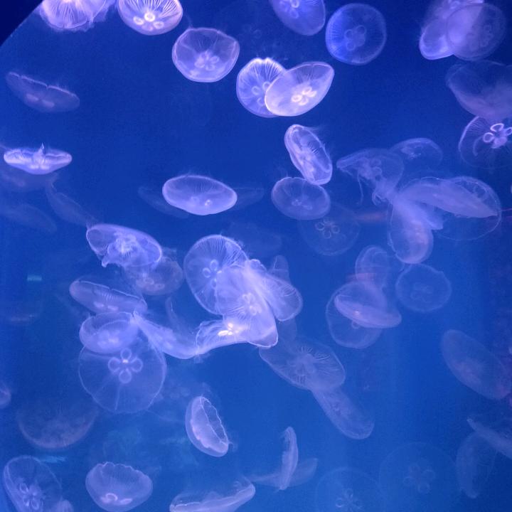余生