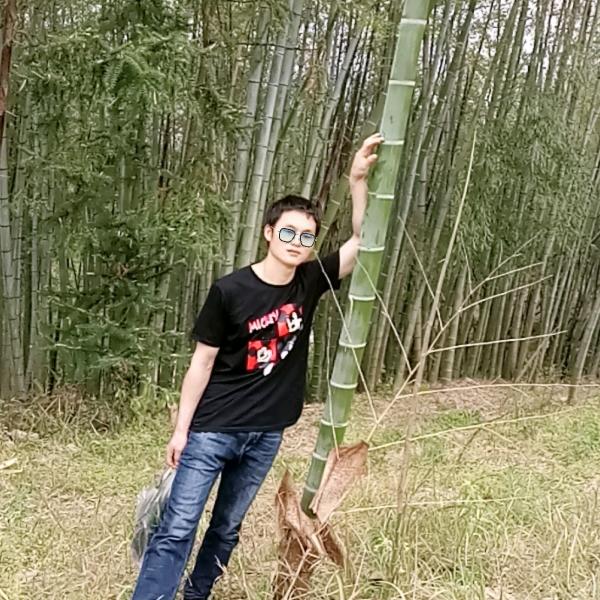 记忘不恋，当下不染