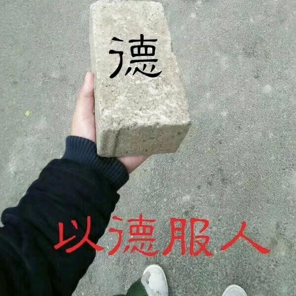 紫二玄