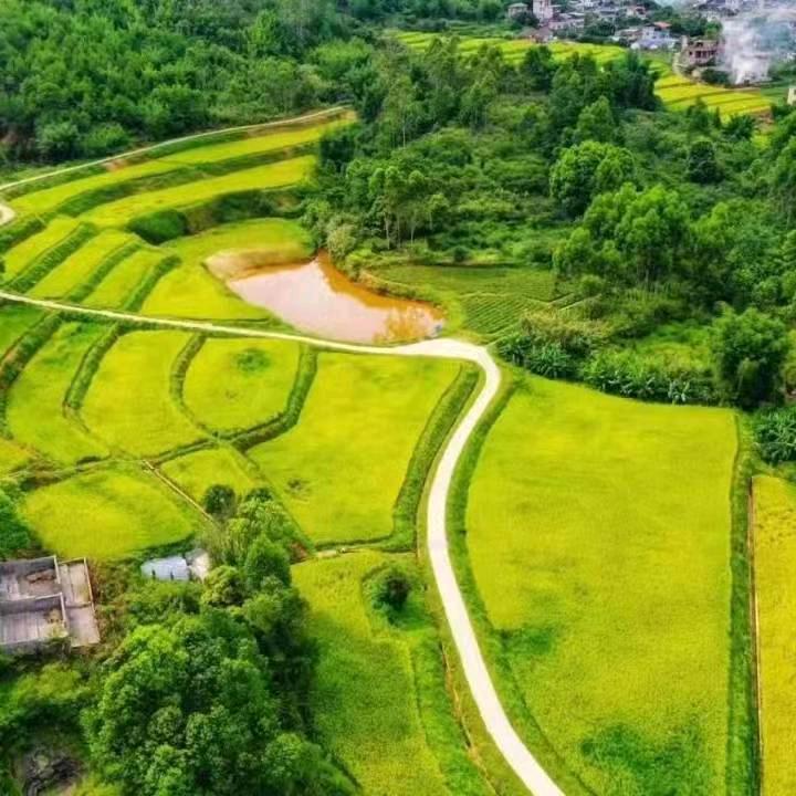 平远县汉香园生态农业有限公司