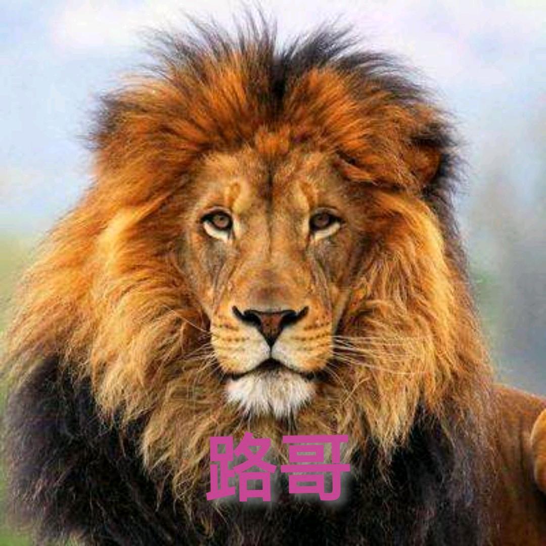 小路哥