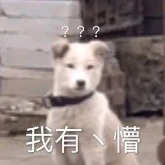 开花🌼
