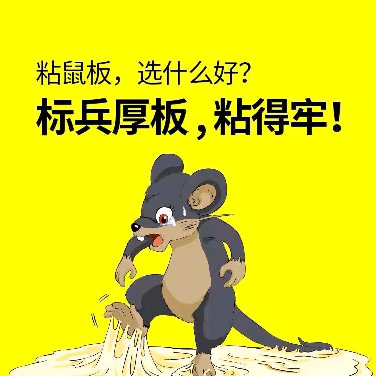 老鼠克星6