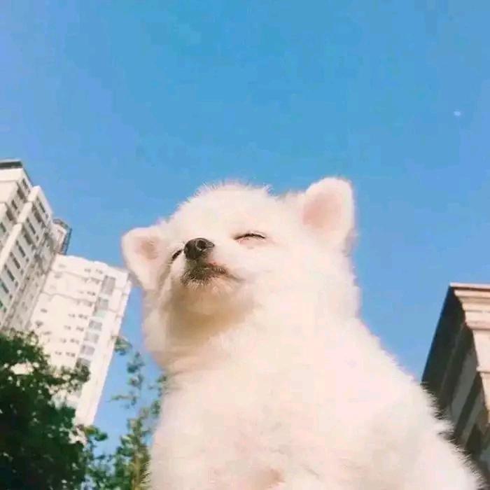 知足且常乐