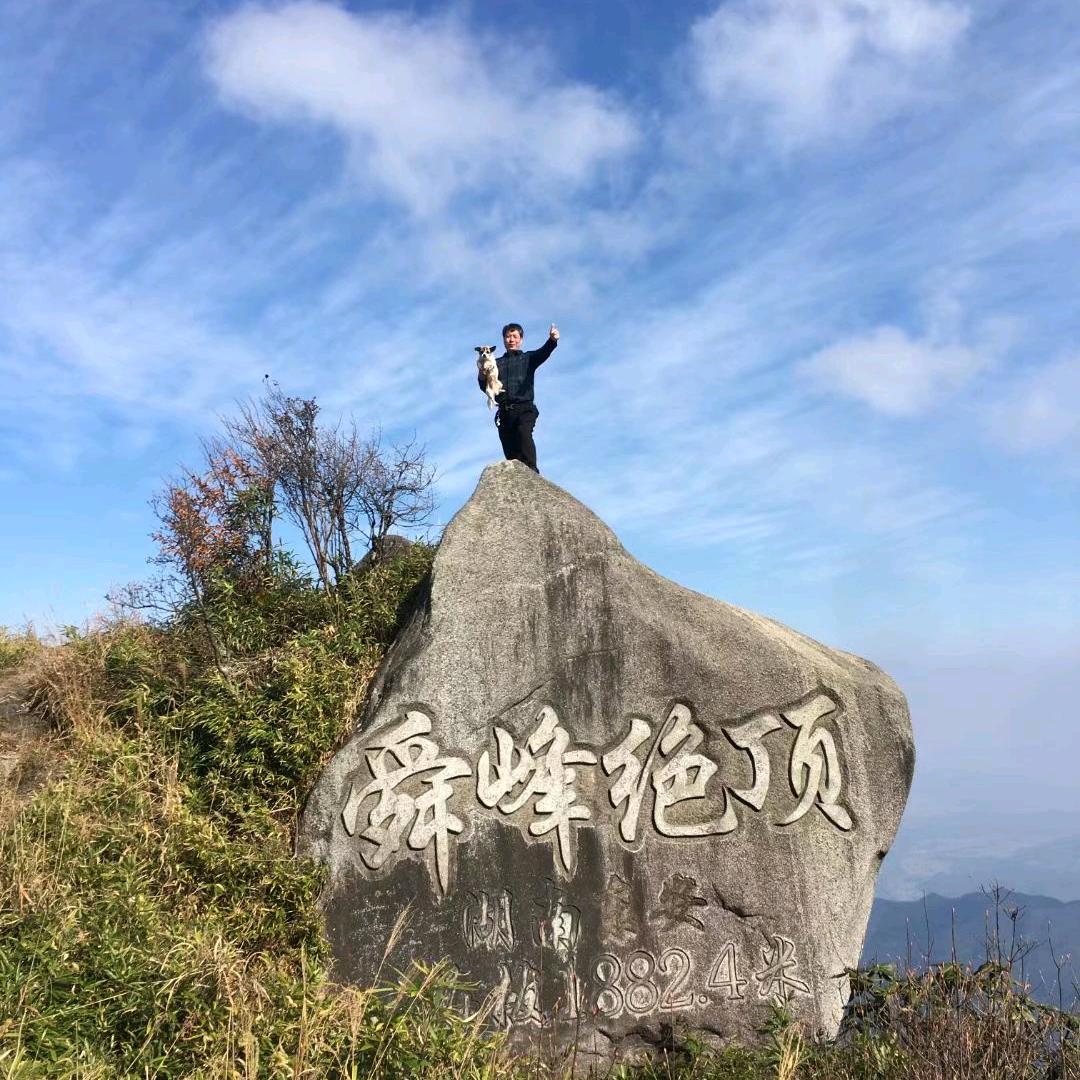天马行空🐴