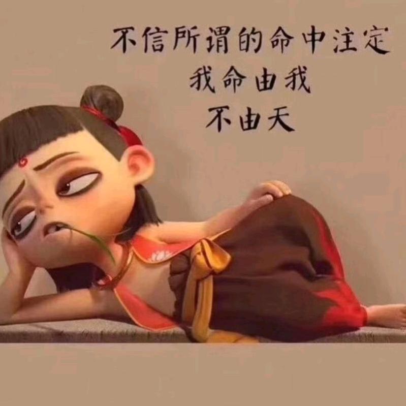大鸟带你飞
