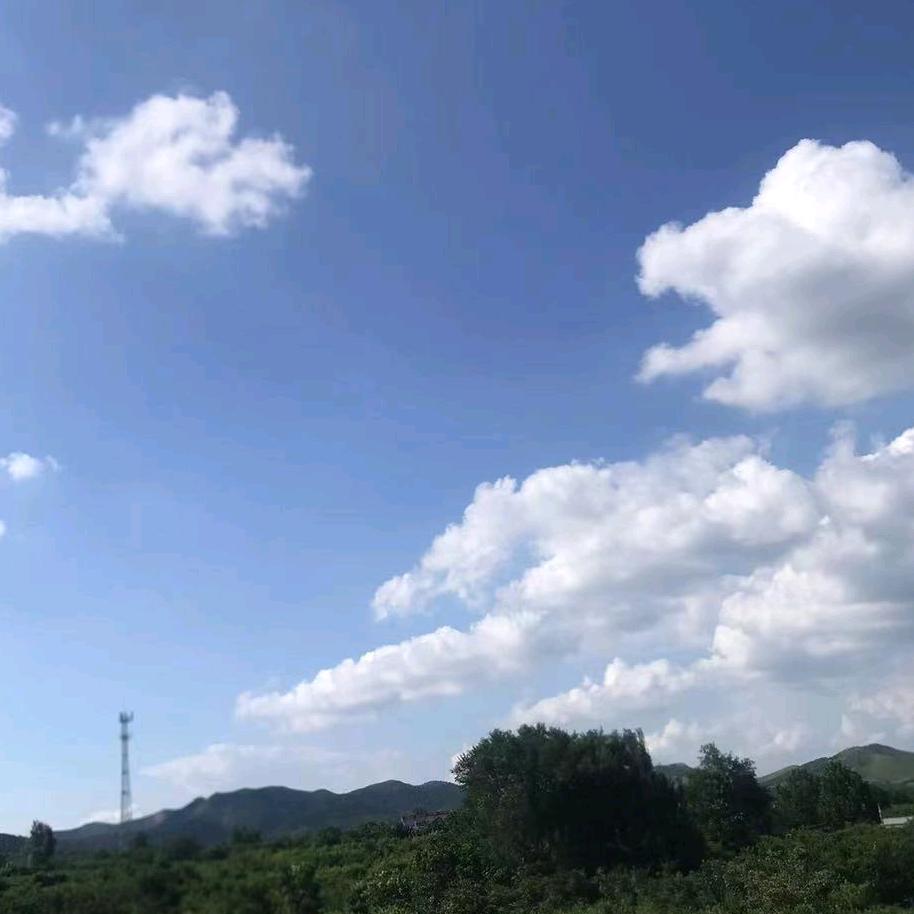 相信缘份