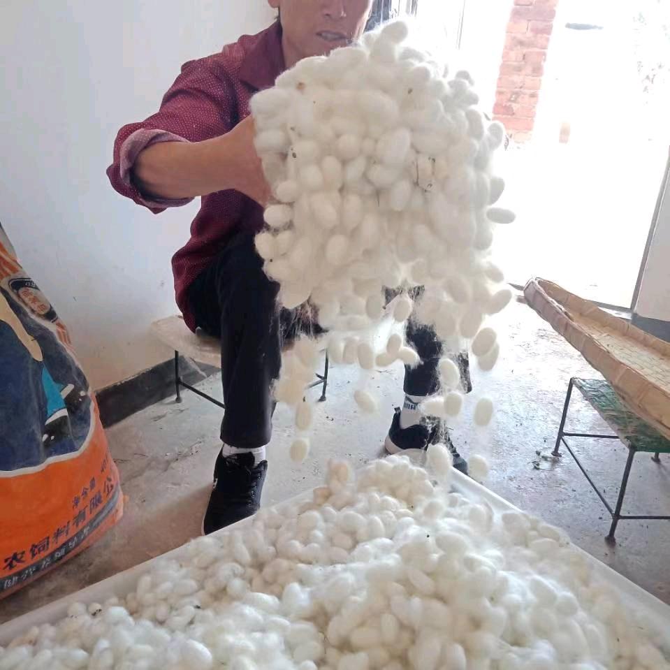 忘了过去。