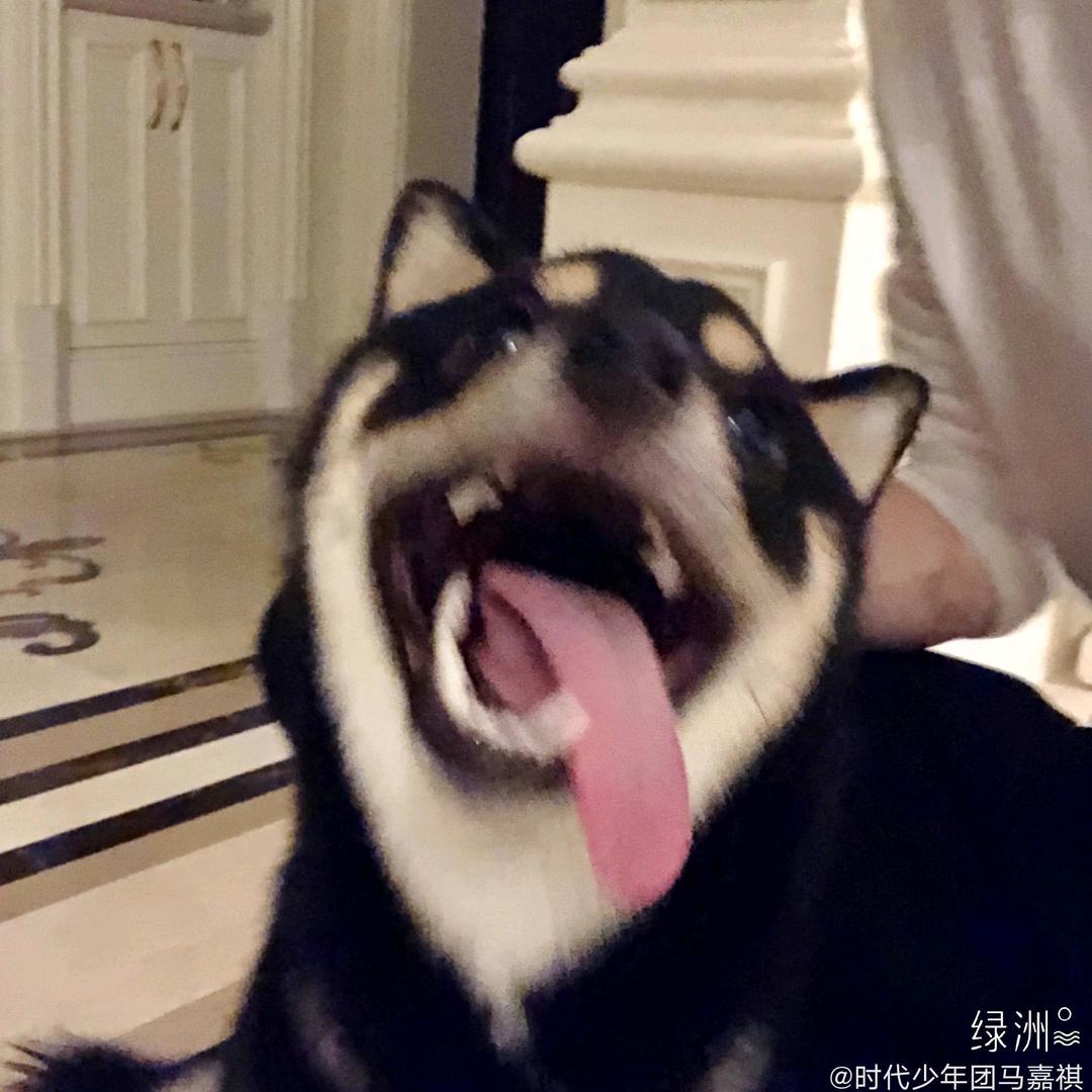 阿文今天想我了嘛？