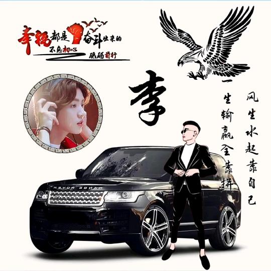龙鹰狮影视