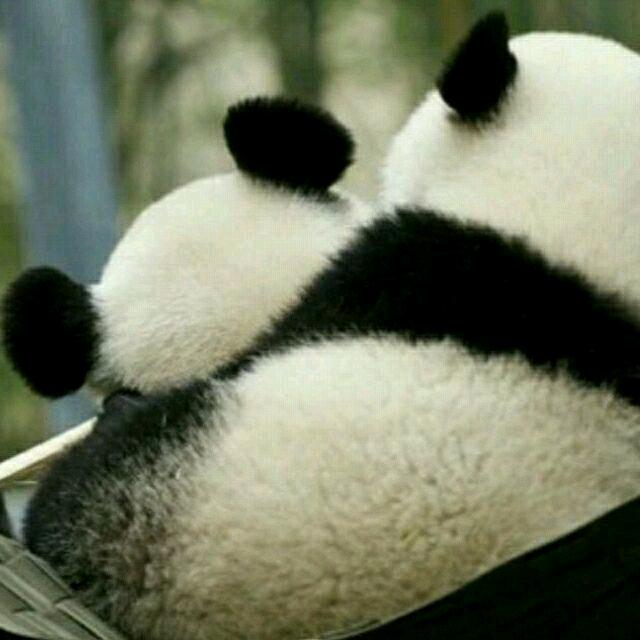 悠悠尔心