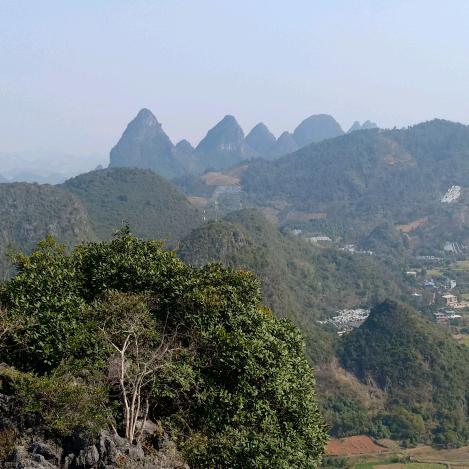 阳朔顺通驾校明教练