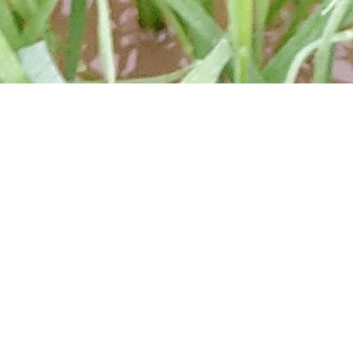 用户8758014821599
