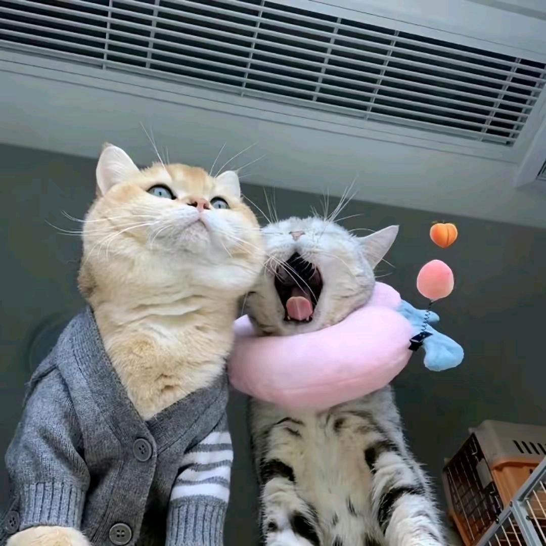 এ故事缺酒໌ᮨ🚬也缺你🍶