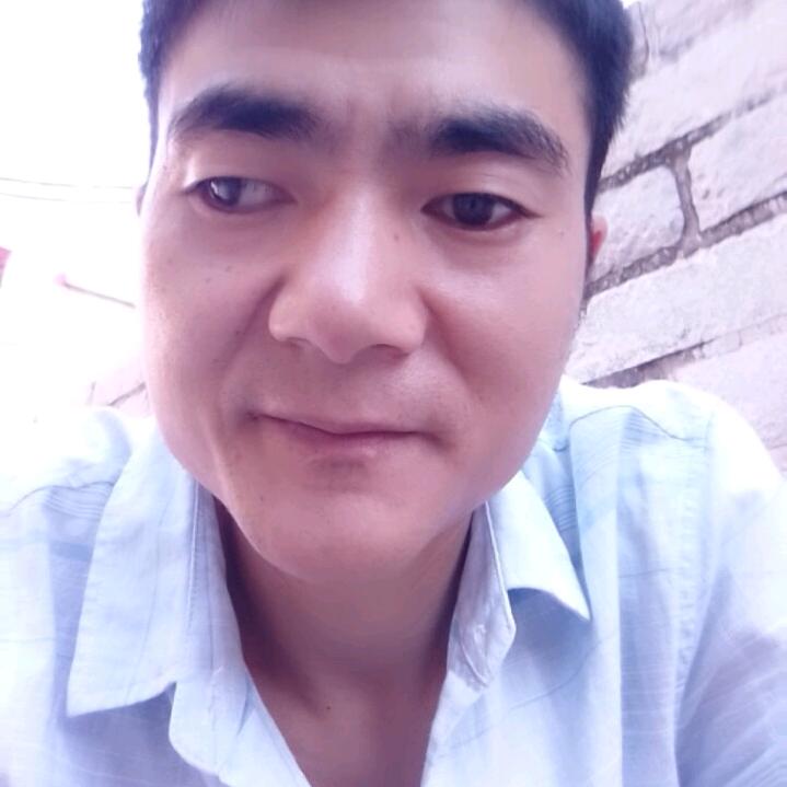 风中流浪