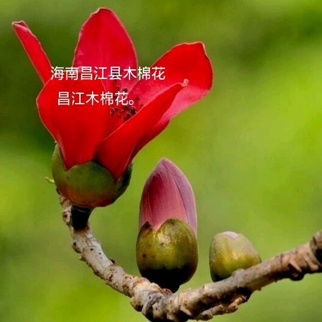 上抖音恭百六有单身女人百六吗