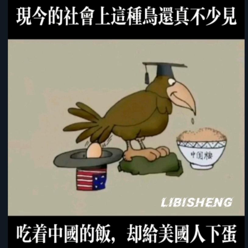 龙腾虎跃