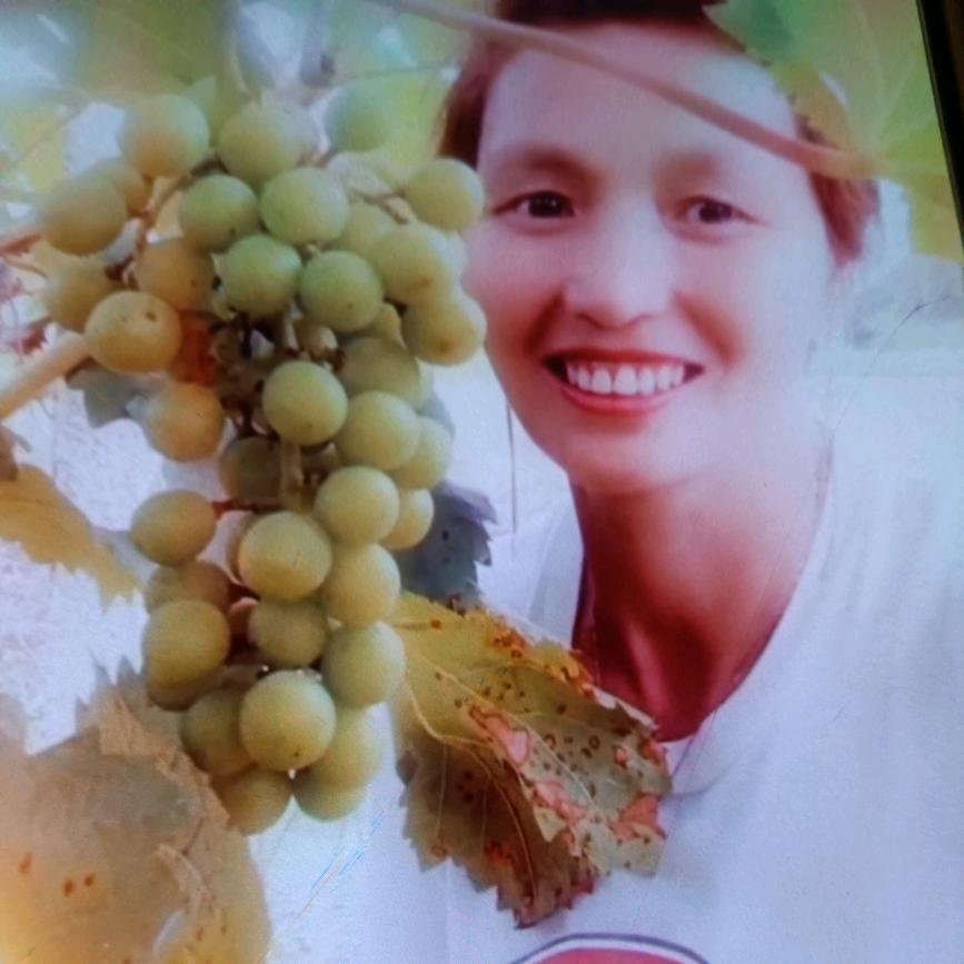 四川妹子远嫁贵州。