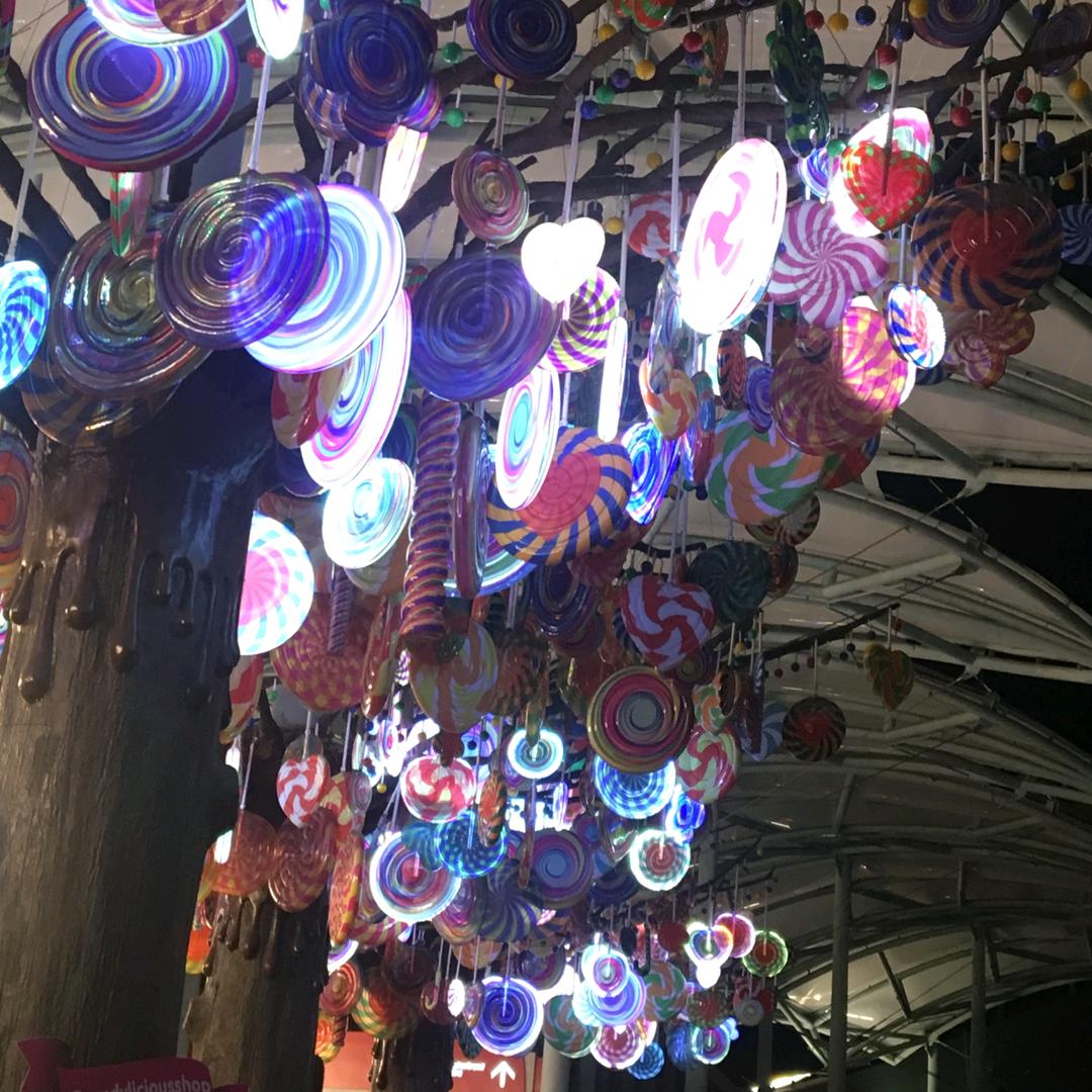 Lily Zhou 🌵🦔🇨🇳