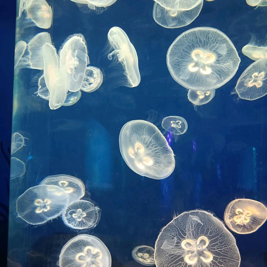 ୧⍤⃝魏2莽💞ــــﮩﮩ໑ຼₒ