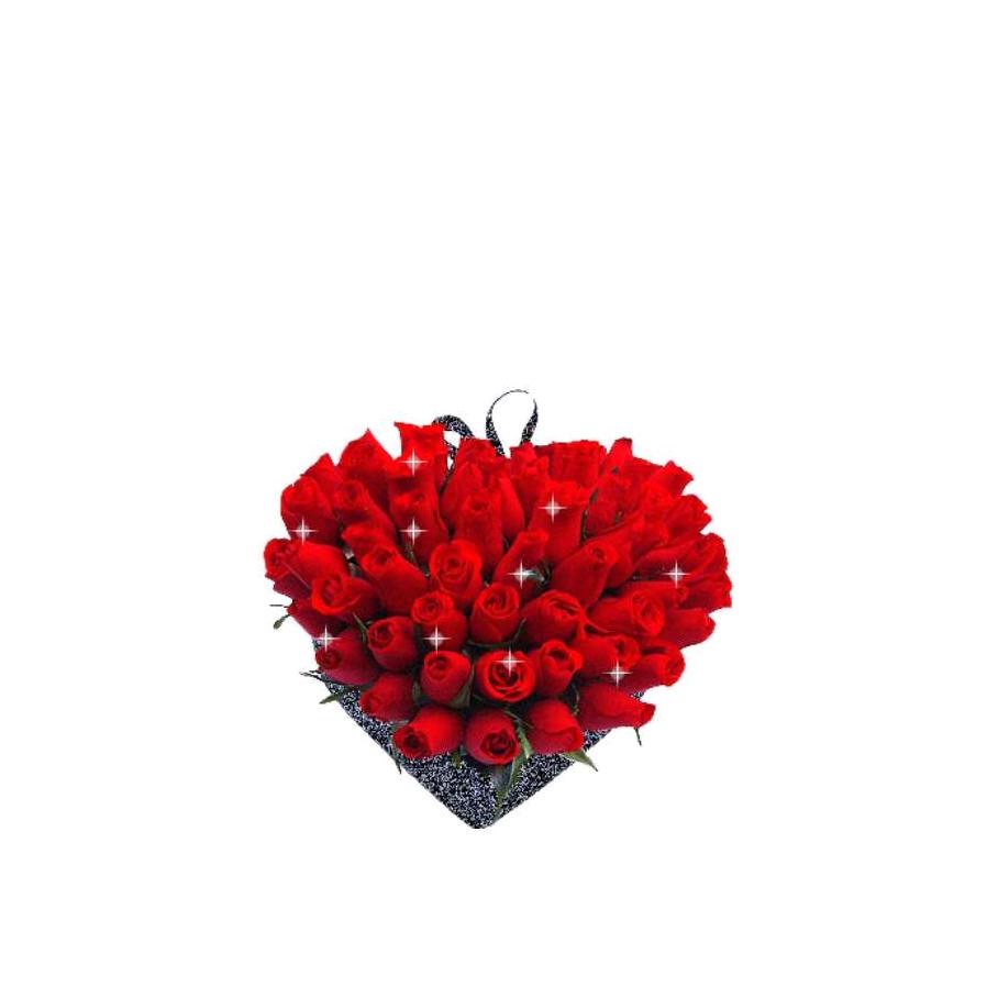 @明明白白我的心@