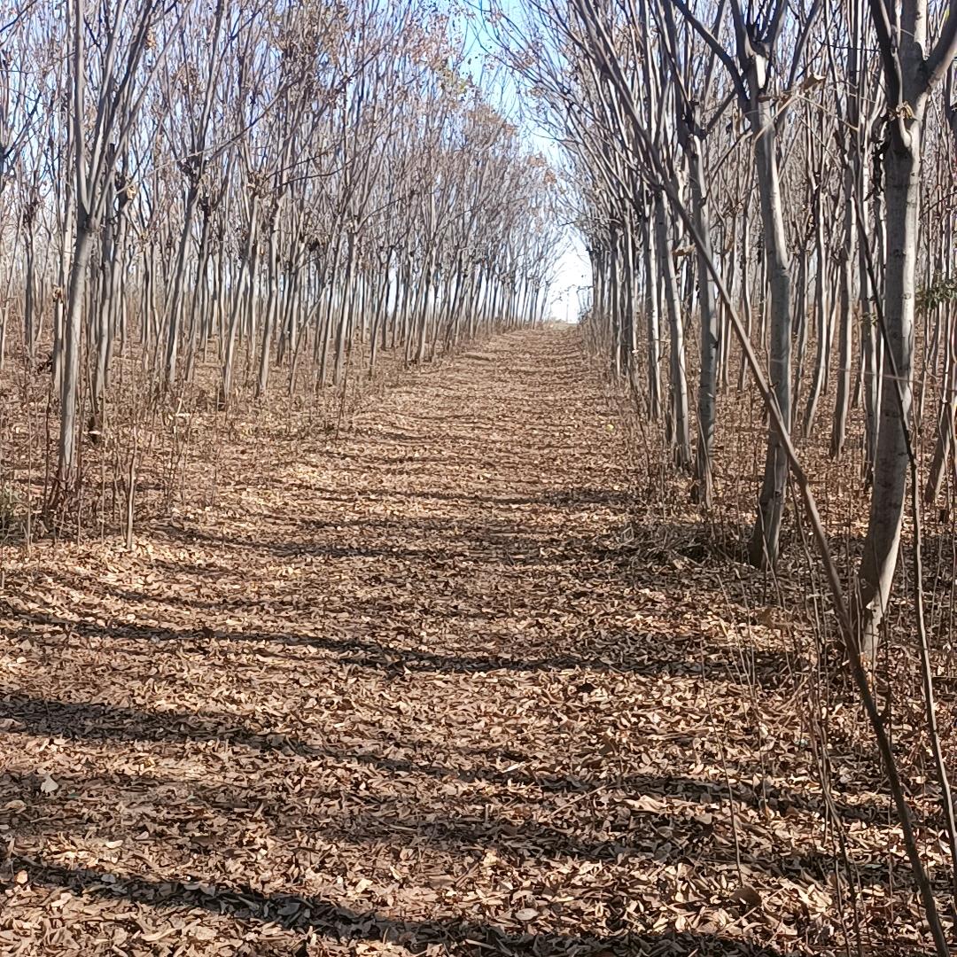 记忆人生