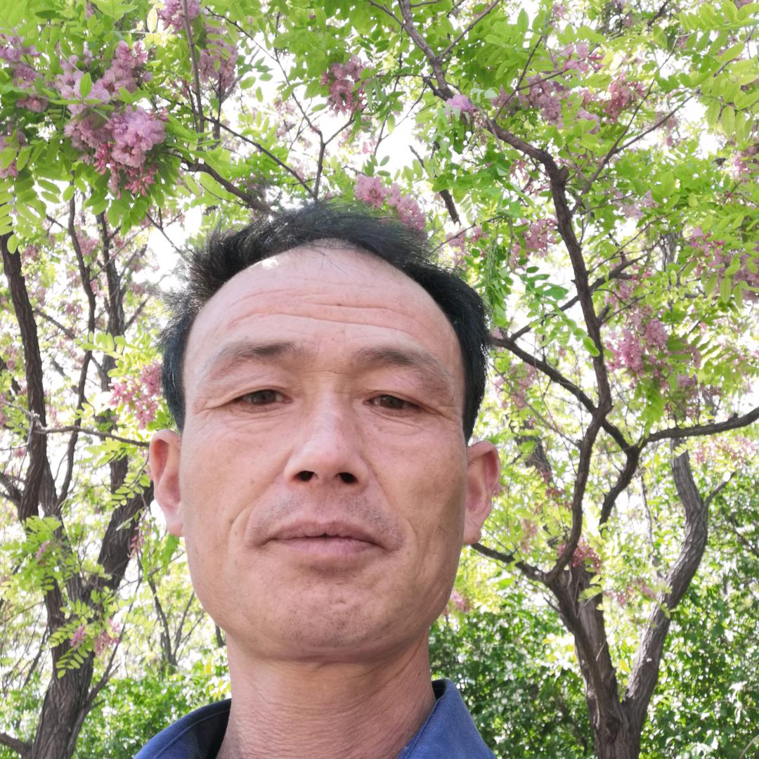 雨后的彩虹废品收购