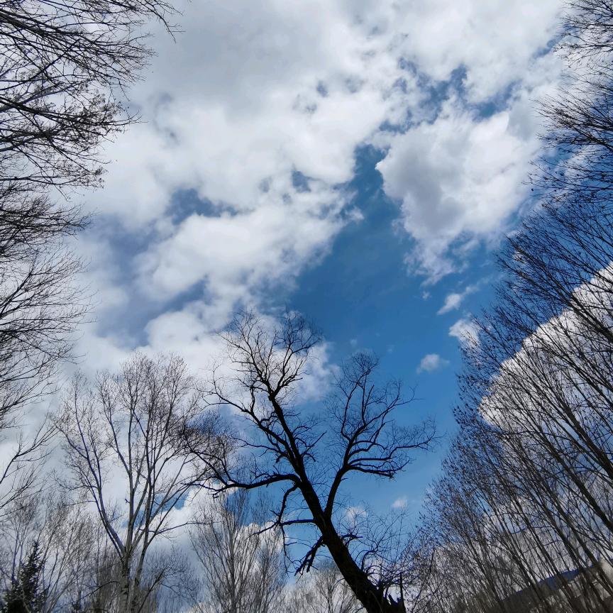 今遇