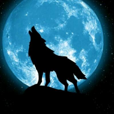 狼的传说
