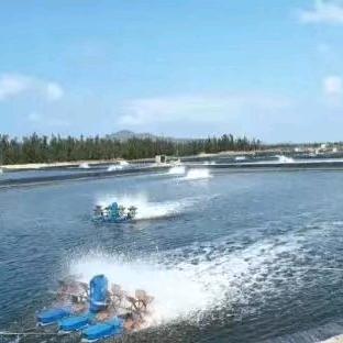 🦅এ᭄大展洪图ོꦿ࿐