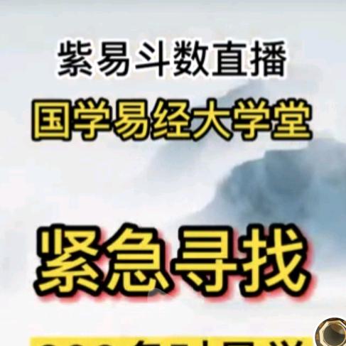 世界周易苏紫易：紫微斗数十八字十五行量化