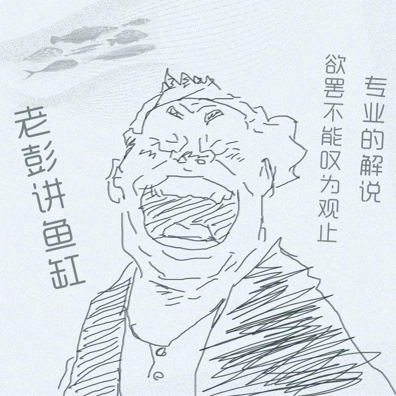老彭讲鱼缸CYY