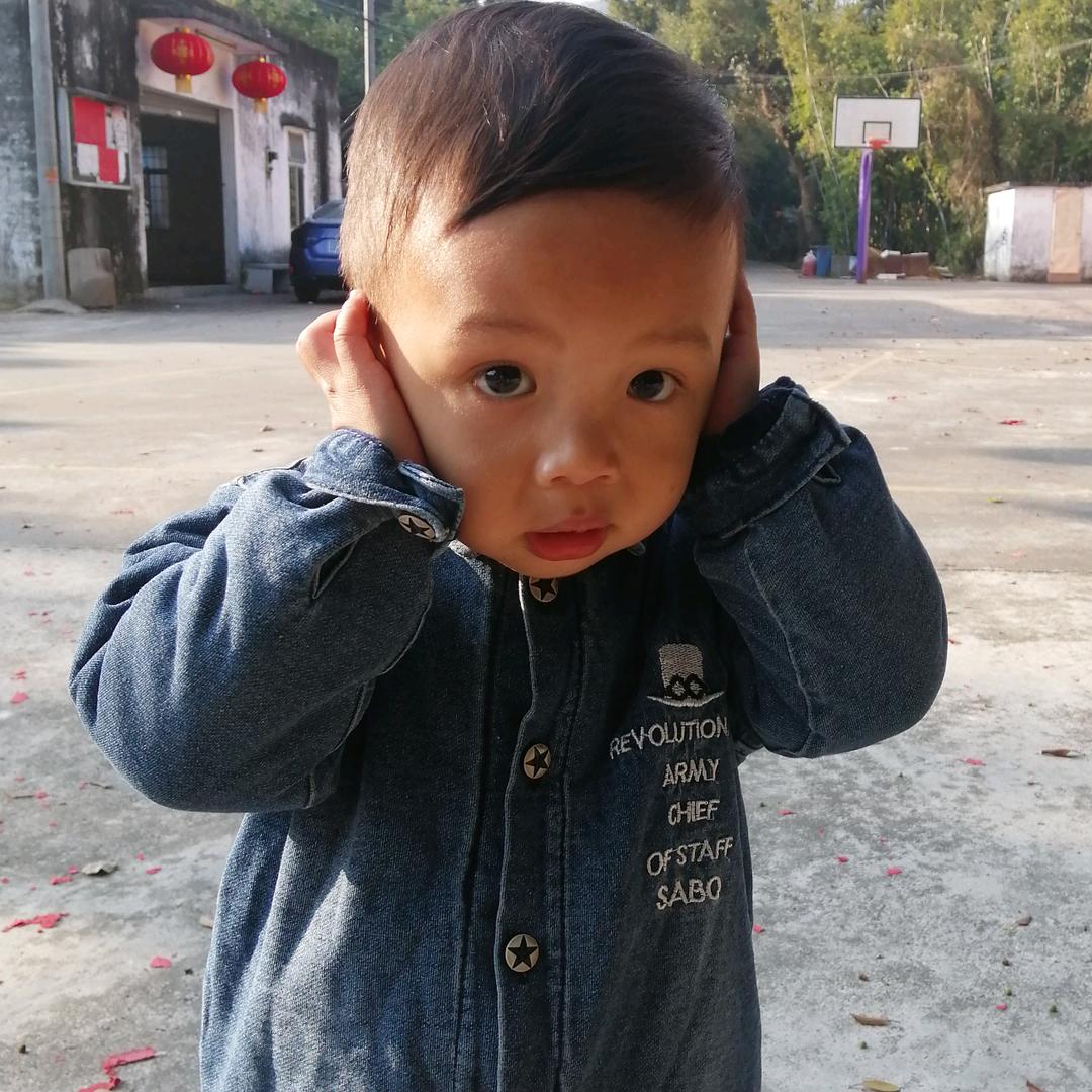ZY-Jia
