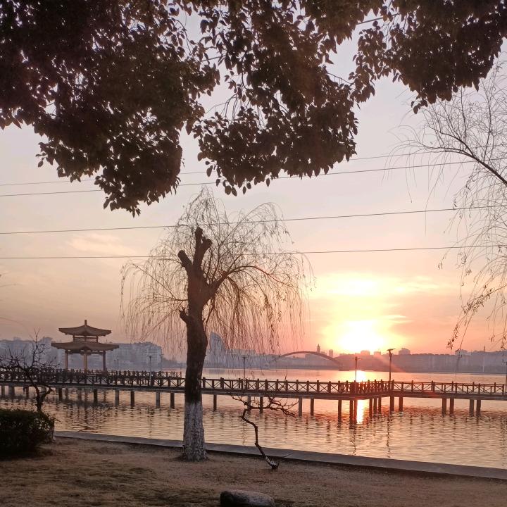 书间行客