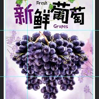 崇信九功葡萄甜瓜采摘园