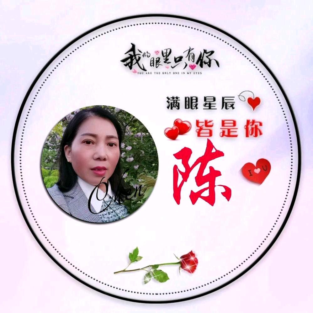鑫特光电灯光音响述明