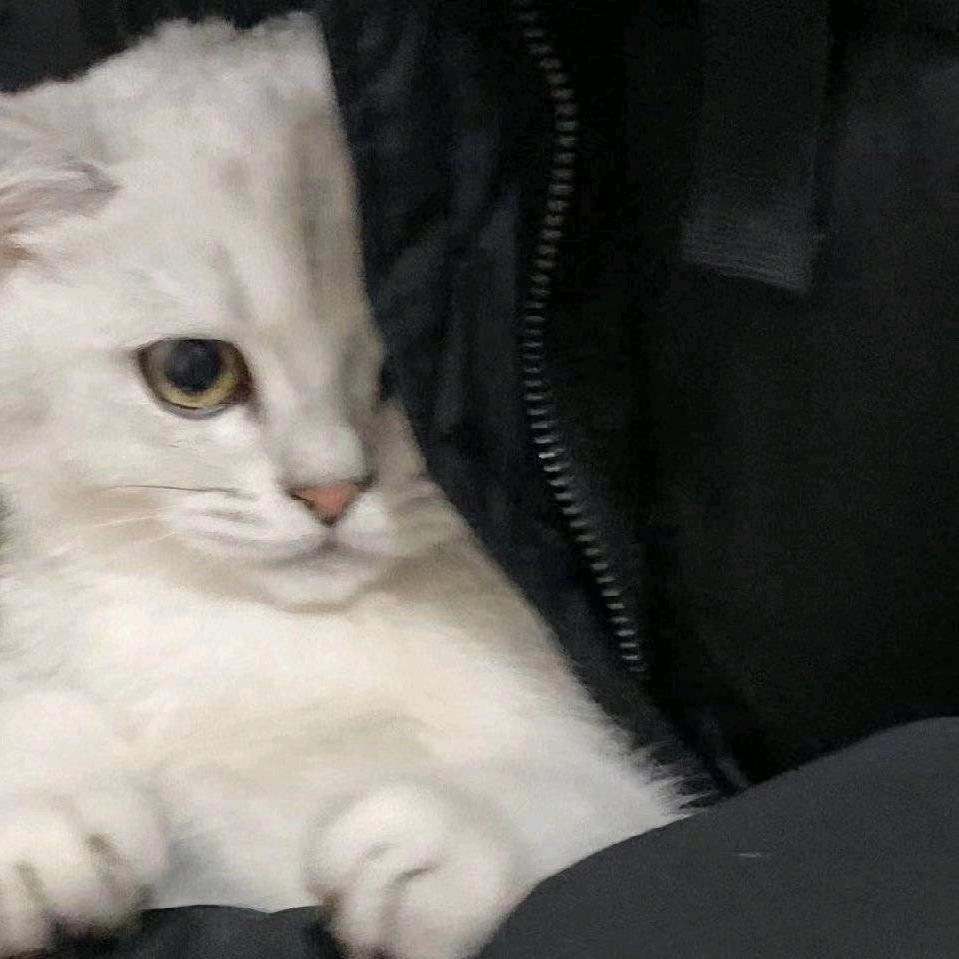 素质