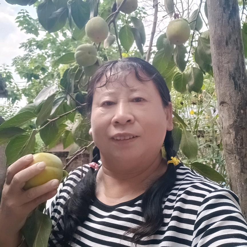 李皊1号九点半开播