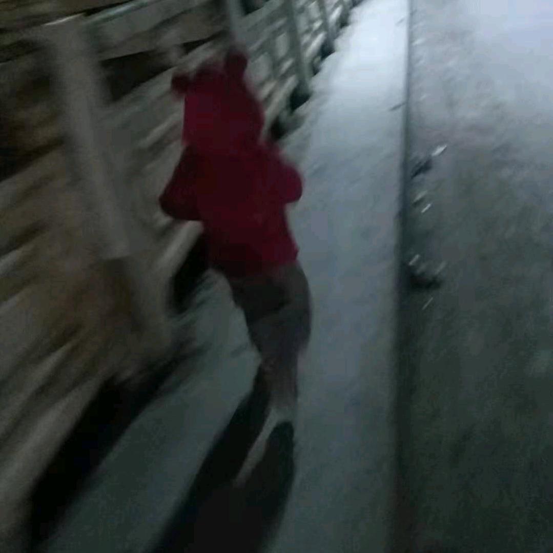 小小只的何团团