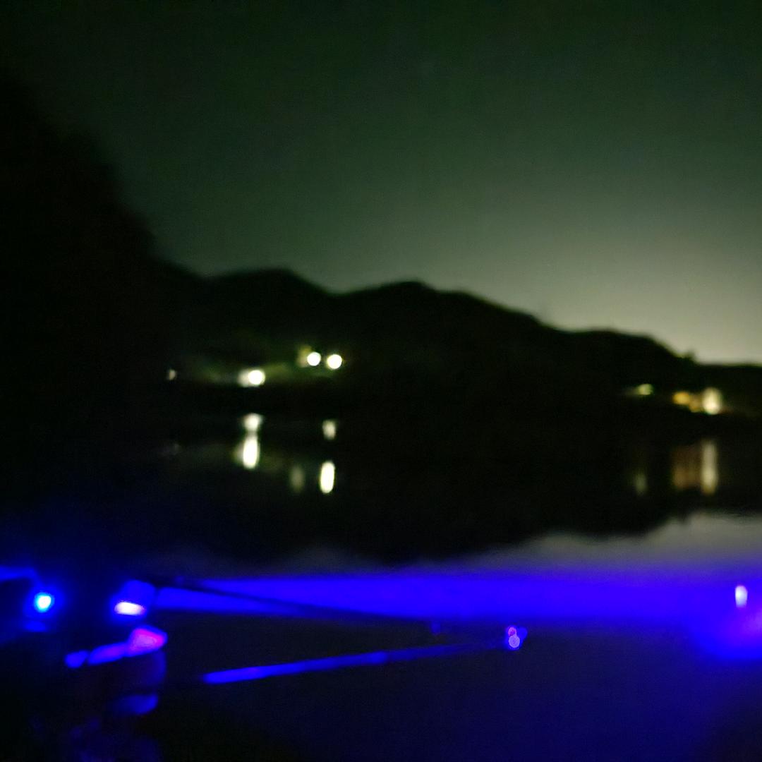 励志做个肥宅